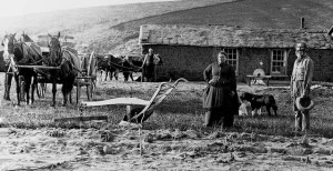 Sod House in Custer Co Nebraska 1887 gSUf0WB4 flickRUser USDA