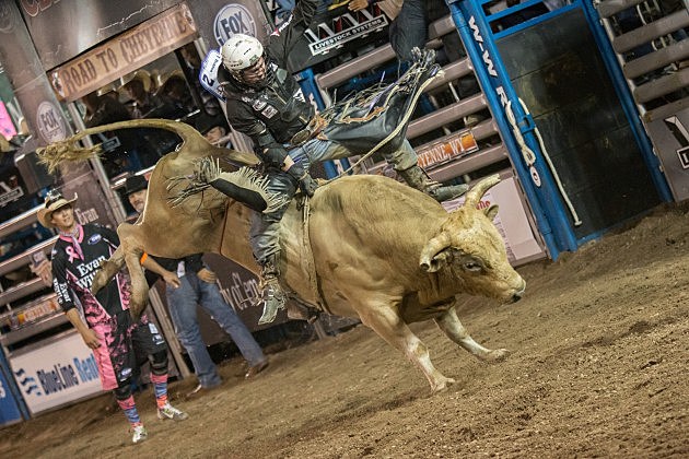 Championship Bull Riding: Day Two