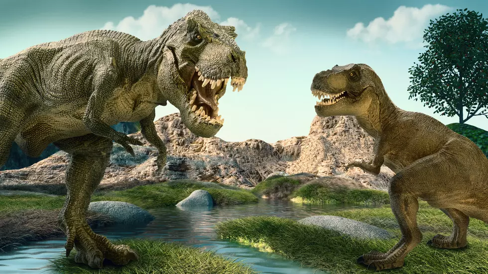 What Is Wyoming’s State Dinosaur