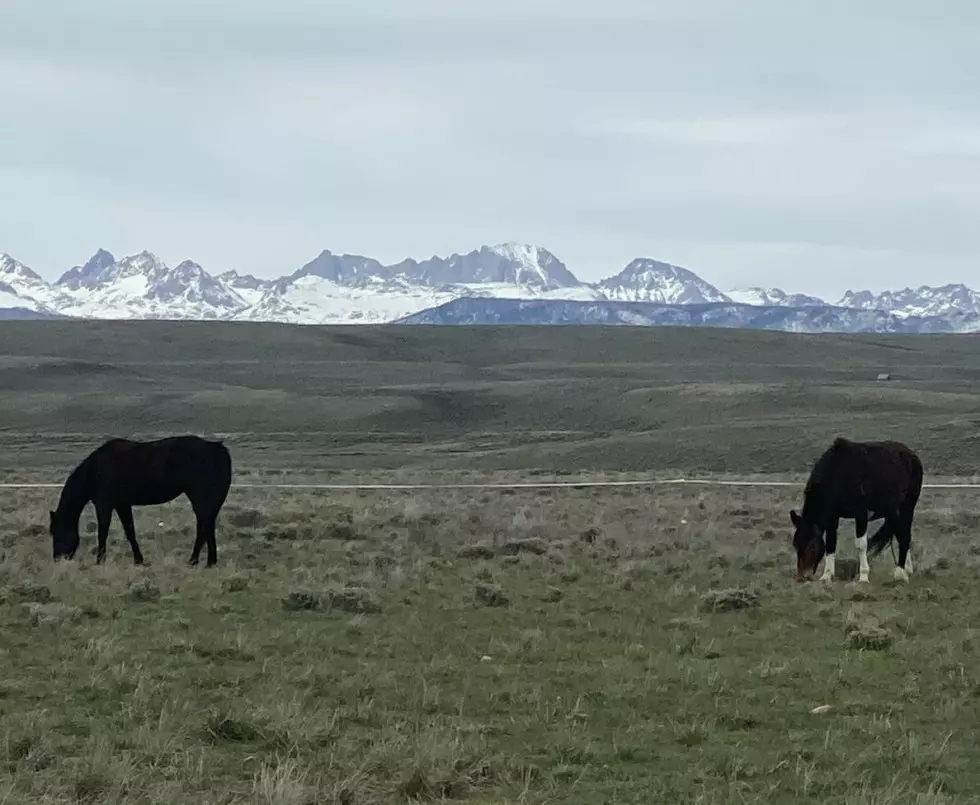 Explore Wyoming And Pay Under $100/ night in these GREAT Airbnb’s
