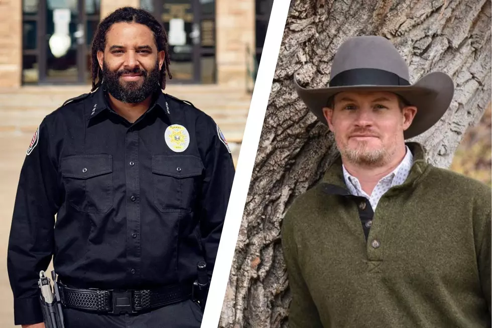 Albany County Sheriffs Election: Appelhans Faces Senior in Nov.