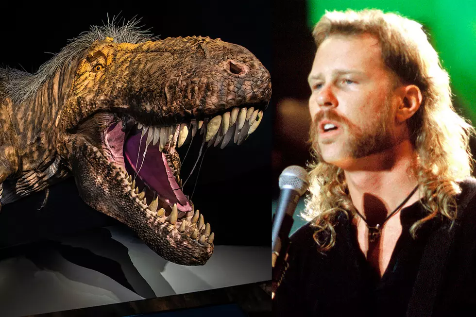 Science: Tyrannosaurus Rex Had a Mullet + Beer Gut