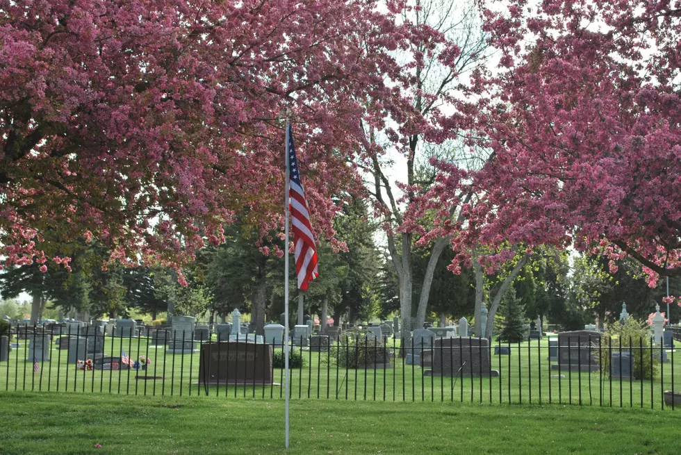 Angry Ghost At Cheyenne’s Lakeview Cemetery Hates Dogs